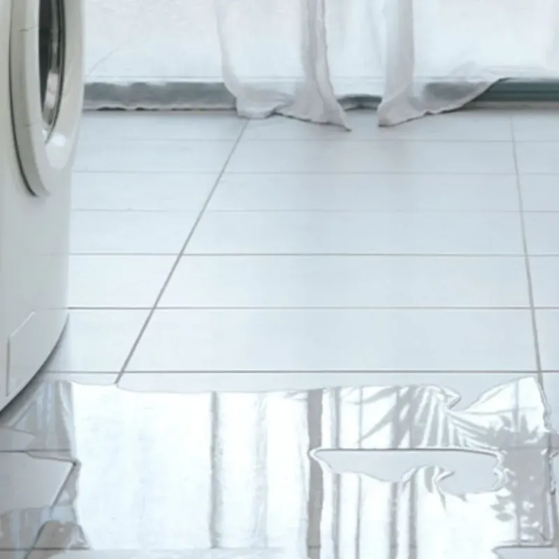 Appliance Leak Cleanup in Radford, VA