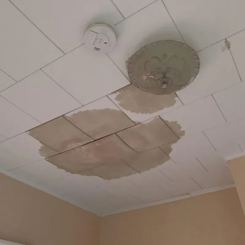 Ceiling Water Damage Repair in Radford, VA