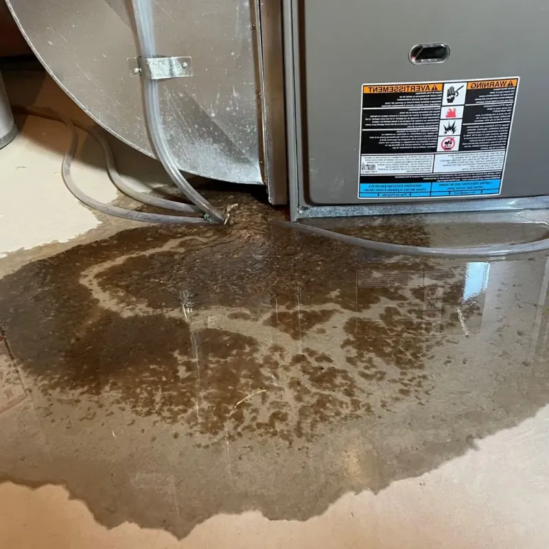 Pipe Burst and Leak Restoration in Radford, VA