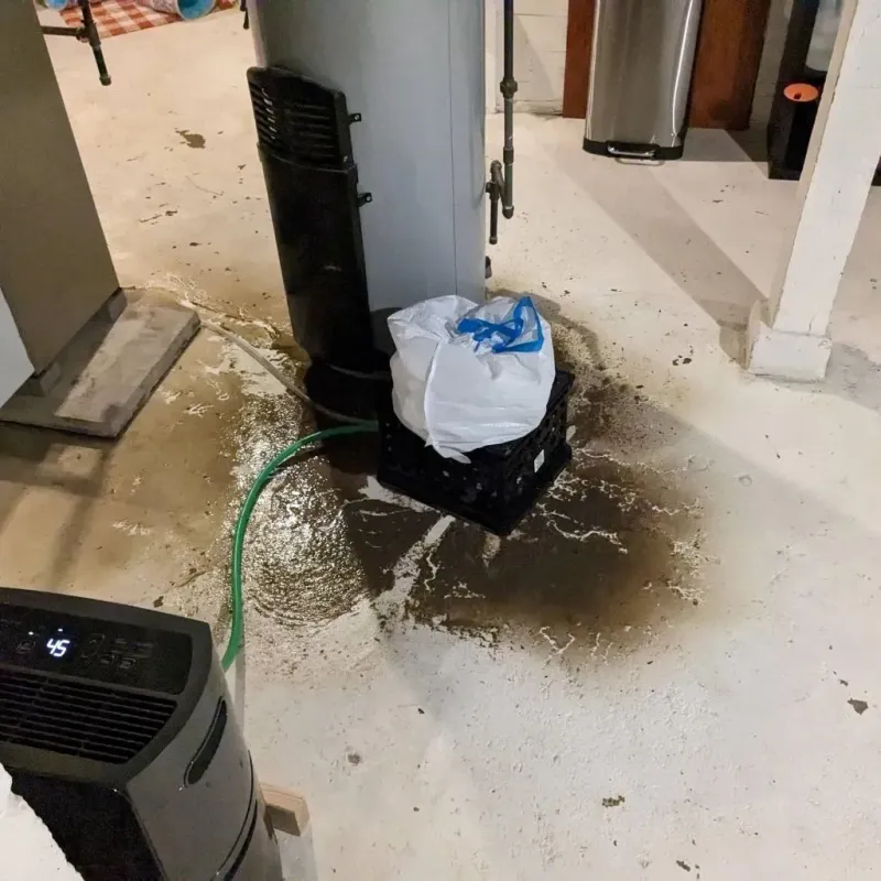 Sewage Backup Cleanup Service in Radford, VA